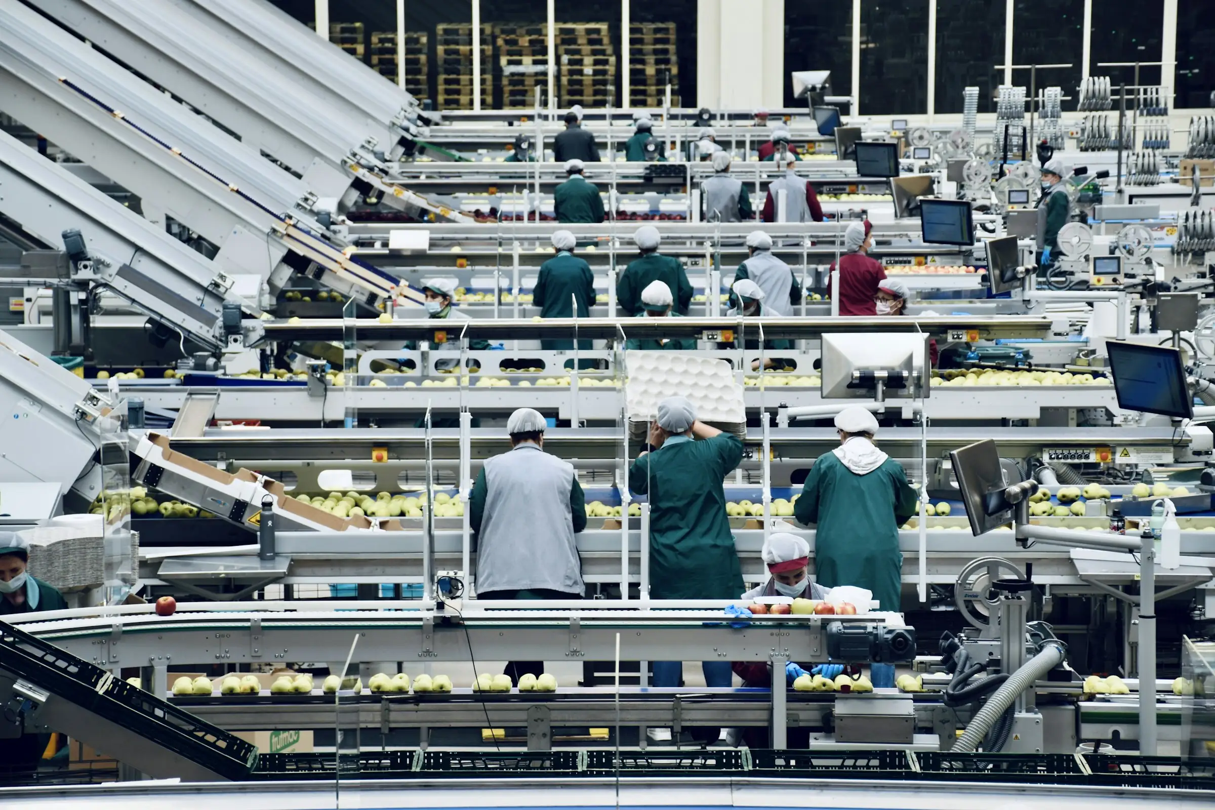 Workers in hairnets along a large food processing line